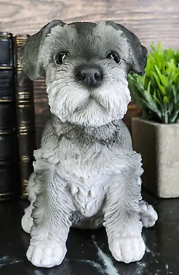 Realistic Miniature Schnauzer Puppy Statue 6.5 Tall Animal Dog Collectible • $29.99