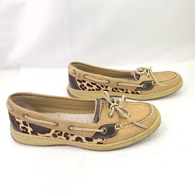 Sperry Top Sider Anglefish Boat Shoes Leopard Print Faux Hair Shoes Size 8 • $24.99