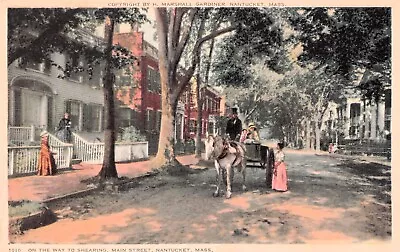 Nantucket Massachusetts Main Street Horse Carriage Artist Drawing Postcard D43 • $8.85