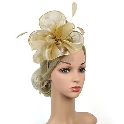 $25.90 • Buy Classic Wedding Carnival Melbourne Cup Fascinator Derby Ruffle Hat Headband Wear