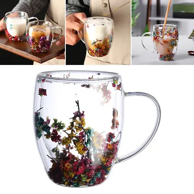 350ml Double Wall Insulated Glass Cups Coffee Cup Tea Cup Water Mug With Handle • $11.74
