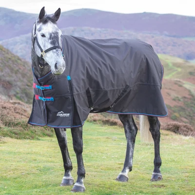 £71.95 • Buy Shires Highlander Original 200g Turnout Rug