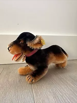 Vintage 1960s Steiff  Dog Dachshund Lumpi 4200/18 Beautiful Condition 18 Cm • $35.32