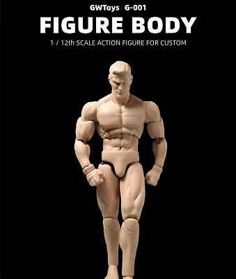 £32.64 • Buy GWToys 1/12 Scale 6'' Super Strong Muscle Action Figure Male Body Model Doll