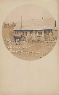 PISCATAGUIS COUNTY ME PET MOOSE AT HOME ON THE ROACH RIVER RPPC C 1903-06 • $9.99