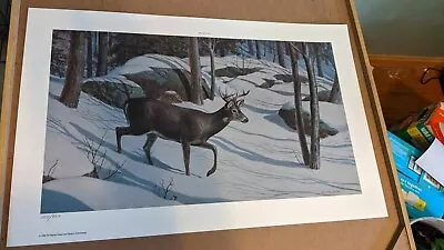 Ned Smith  Moonlight Buck  Whitetail Deer 589/950 1992 Pennsylvania LE Art Print • $99.99