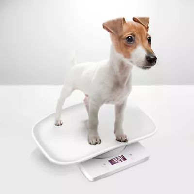 1PC Baby Scales For Weighing Digital Pet Scale Puppy Weight Scale Pet Scales • £21.67