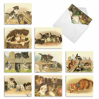 10 Assorted All Occasion Note Cards Blank - CUTEY CATS • $11.98