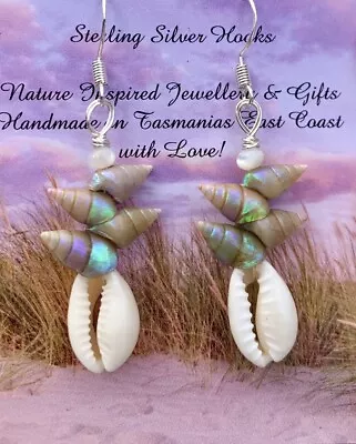 Maireener & Cowrie Shell Sterling Silver Earrings ~Tasmanian Rare Shell~ • $99