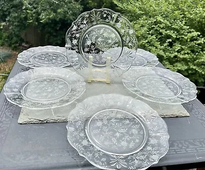 Set Of 6 Fostoria Chintz Etched Clear Baroque Elegant Glass Dinner Plates Clean! • $119.95