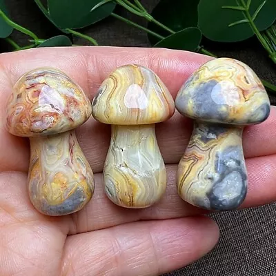 3pcs Natural Crazy Lace Agate Mushroom Skull  Quartz Crystal Carved Random • $16.79