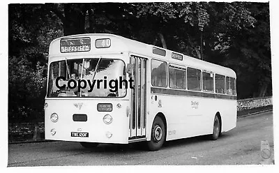 £1.10 • Buy Sheffield Corporation TWE120F TWE 120F AEC Swift Park Royal Coach B&W Bus Photo