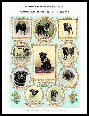 £5.99 • Buy Pug Named Dogs Lovely  Vintage Style Dog Art Print Poster 