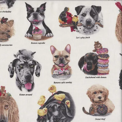 Doggie Drama Boston Terrier Dachshund Labrador Pet Quilting Fabric 1/2 Metre • $15.95