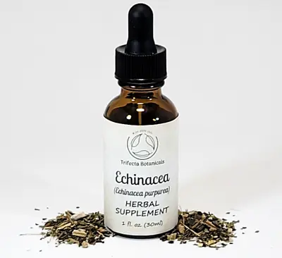 ECHINACEA Herbal Supplement / Liquid Extract Tincture / Echinacea Purpurea Herb • $17.95