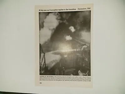 Corregidor Big Guns Manila Harbor Island Defense 1941 World War 2 WW2 Picture  • $16