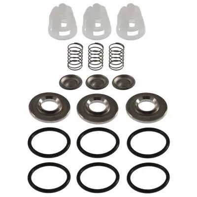 Replaces CAT 34052 VALVE KIT Fits Cat Pump 2SF Series (CAT-34052) • $52.80