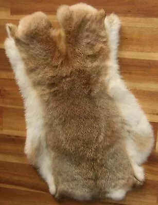 1 X Tanned Rabbit Skin Hide Pelt For Craft Animal Fur Decor Natural 8''-14'' • $9.49