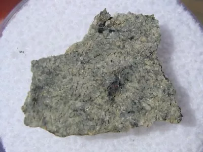 .958 Grams 18x14x2mm NWA 13187 Martian Shergottite Meteorite Mars Slice With COA • $109.99