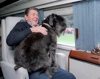 President Ronald Reagan Aboard Marine One Helicopter With Dog New 8x10 Photo • $8.99