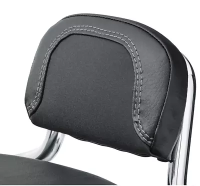 Harley Davidson Compact Passenger Backrest Pad  2018-2025 Softail 2021 Sportster • $100