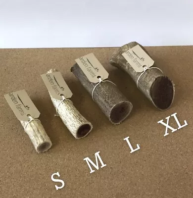 £6 • Buy Antler Dog Chew, 100% Natural