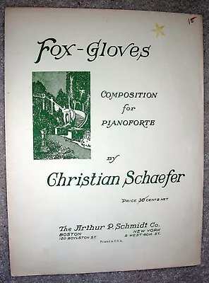 1924 FOX-GLOVES Vintage Sheet Music PIANO SOLO Composition By Schaefer • $0.99