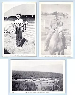 T-R Guest Ranch West Glacier Montana Postcard Lot Fish Tex & Palimino Mare Horse • $10