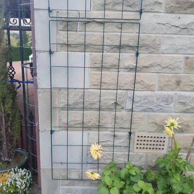 £110 • Buy Wall Plant Support Trellis Mesh Flexigro For Climbing Climbers Clematis Panel