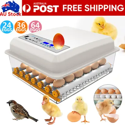 24/36/64 PCS Eggs Incubator Fully Automatic Digital Chicken Poultry Led Turning • $69.99