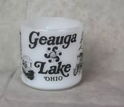 Vintage Geauga Lake Milk Glass Mug Ohio Black Lettering Flaked Glass On Rim • $84.99