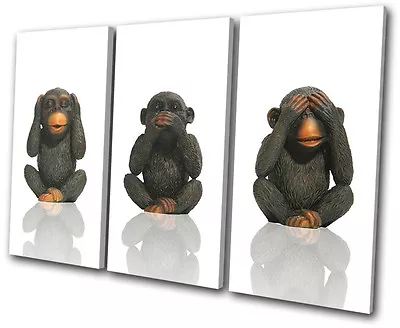 Animals Monkeys Wild TREBLE CANVAS WALL ART Picture Print VA • $94.99