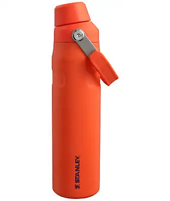 Stanley Aerolight IceFlow Bottle Fast Flow 0.6L Tigerlily Plum • £38.99