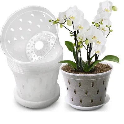 $11.15 • Buy 1/5PC Clear Plastic Orchid Pots With Holes Clear Flower Pot Succulents Plant AU