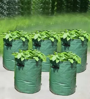 🔥5x Large Potato Grow Bags Bag Tomato Bag Planter Grow Your Own Vegetable Sack • £9.99