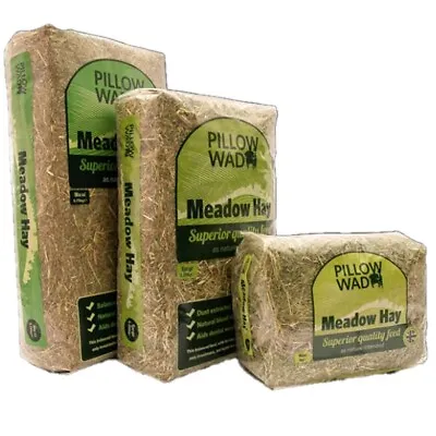 Pillow Wad Meadow Hay Quality Dried Grass Small Animal Pet Natural Bedding Feed • £5.60