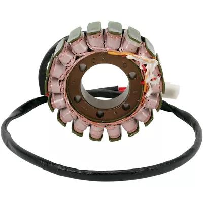 Ricks Electric Magneto Stator Ducati Monster 620 696 750 800 900 & Sport 620 • $166.95