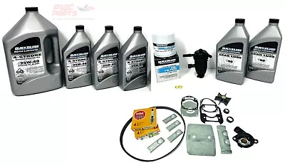 MERCURY QUICKSILVER VERADO V8 4.6L 250 300 Hour Maintenance Kit Oil Change Lube • $699.95