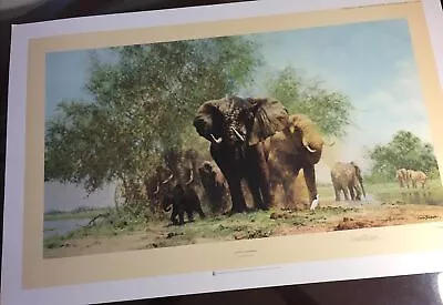 David ShepherdOBE Elephants & Egrets 1234/1300Artist Signed Printed England • £510.89