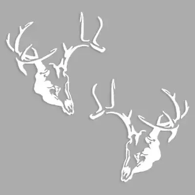 Whitetail Deer Skull Decal Sticker Archery Hunting Truck For Mathews Hoyt 2 Pack • $11.99