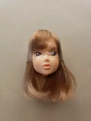 North Wind & Viola MOMOKO Doll Sekiguchi Petworks (Head ONLY) • $29.99