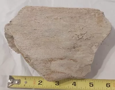 Mastodon Bone Fossil   From Nebraska Nice Coloring 1lb 3 Ozs • $25