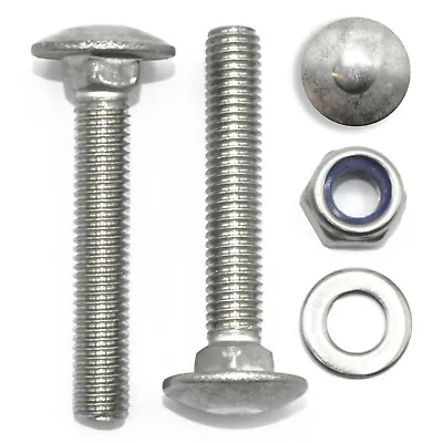 £6.89 • Buy M12 A2 Cup Square Carriage Bolt / Coach Screws + 2 Washers + Nyloc Nut Din 603 *