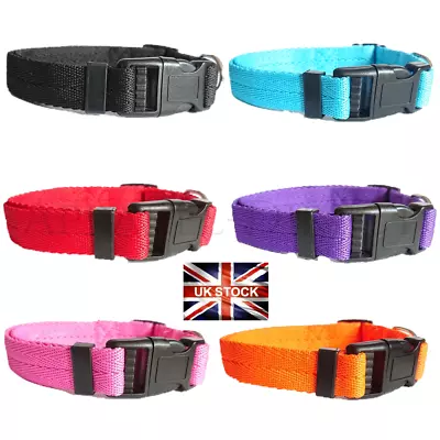 Dog Puppy Collar Nylon Adjustable Collars 4 Sizes 6 Colours UK Pet Accessories  • £2.99