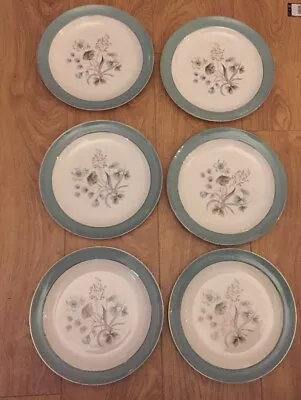 6 Midwinter Stylecraft Classic Shape Dinner Plates 25 Cm Diameter • £20