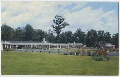 Jarratt Va Jarratt Motel US 301 Mr And Mrs Temple Owners Vintage Postcard Chrome • $8.99