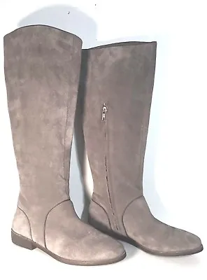 Brand New $250 Ugg Australia Gracen Gray Tall Suede Equestrian Women's Boots • $67.99