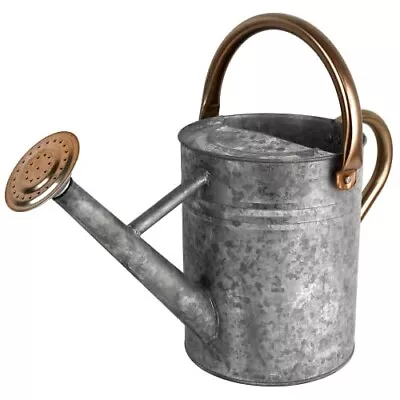  1 Gallon Silver Colored Watering Can - Metal Watering Can With Removabl • $20.48