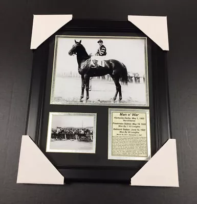 MAN O' WAR 8X10 Framed Photo 1920 Preakness 1920 Belmont • $34.99