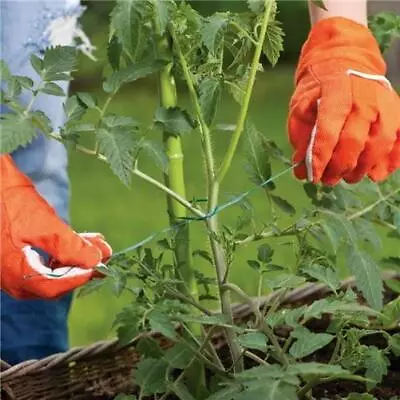 200m Garden Twine Polypropylene Weatherproof Garden String Plant Support Rope • £5.49